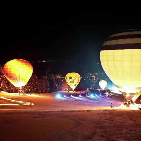 Premium In Near Ski Area 皮森多夫