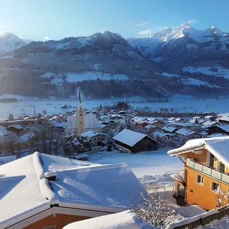 Premium In Near Ski Area 公寓 皮森多夫