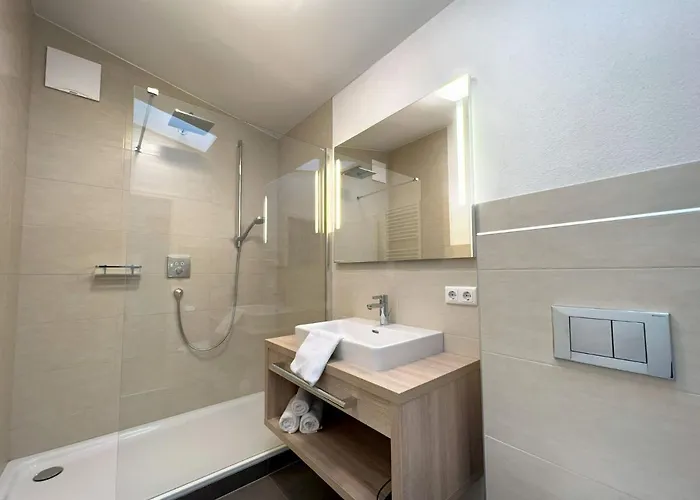 Premium In Near Ski Area Lejlighed